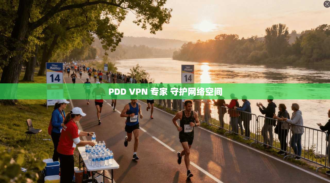 PDD VPN 专家 守护网络空间