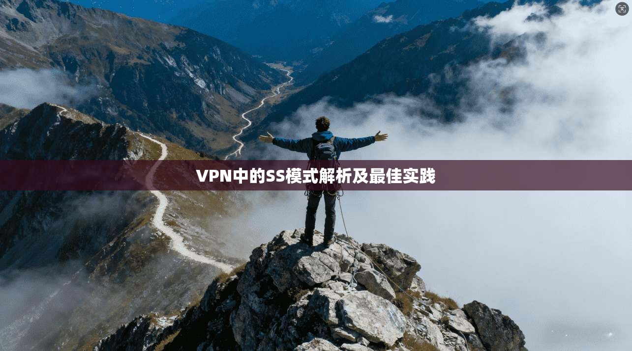 VPN中的SS模式解析及最佳实践