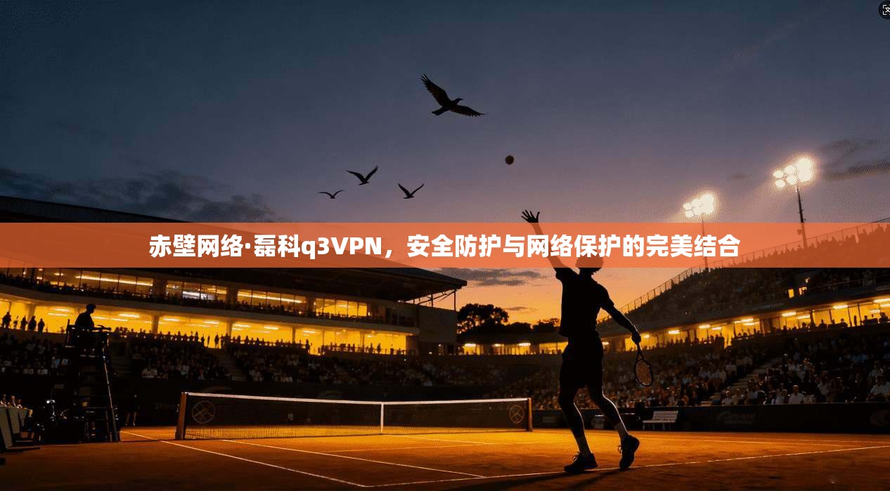 赤壁网络·磊科q3VPN，安全防护与网络保护的完美结合