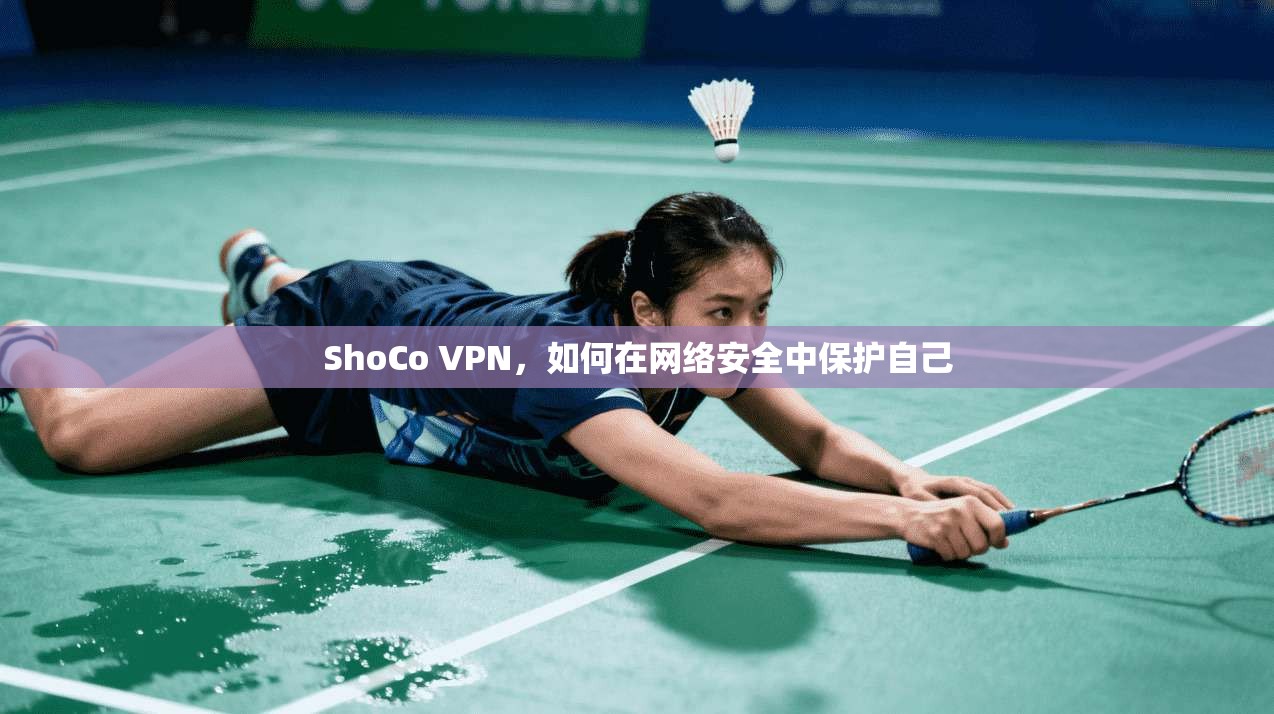 ShoCo VPN，如何在网络安全中保护自己