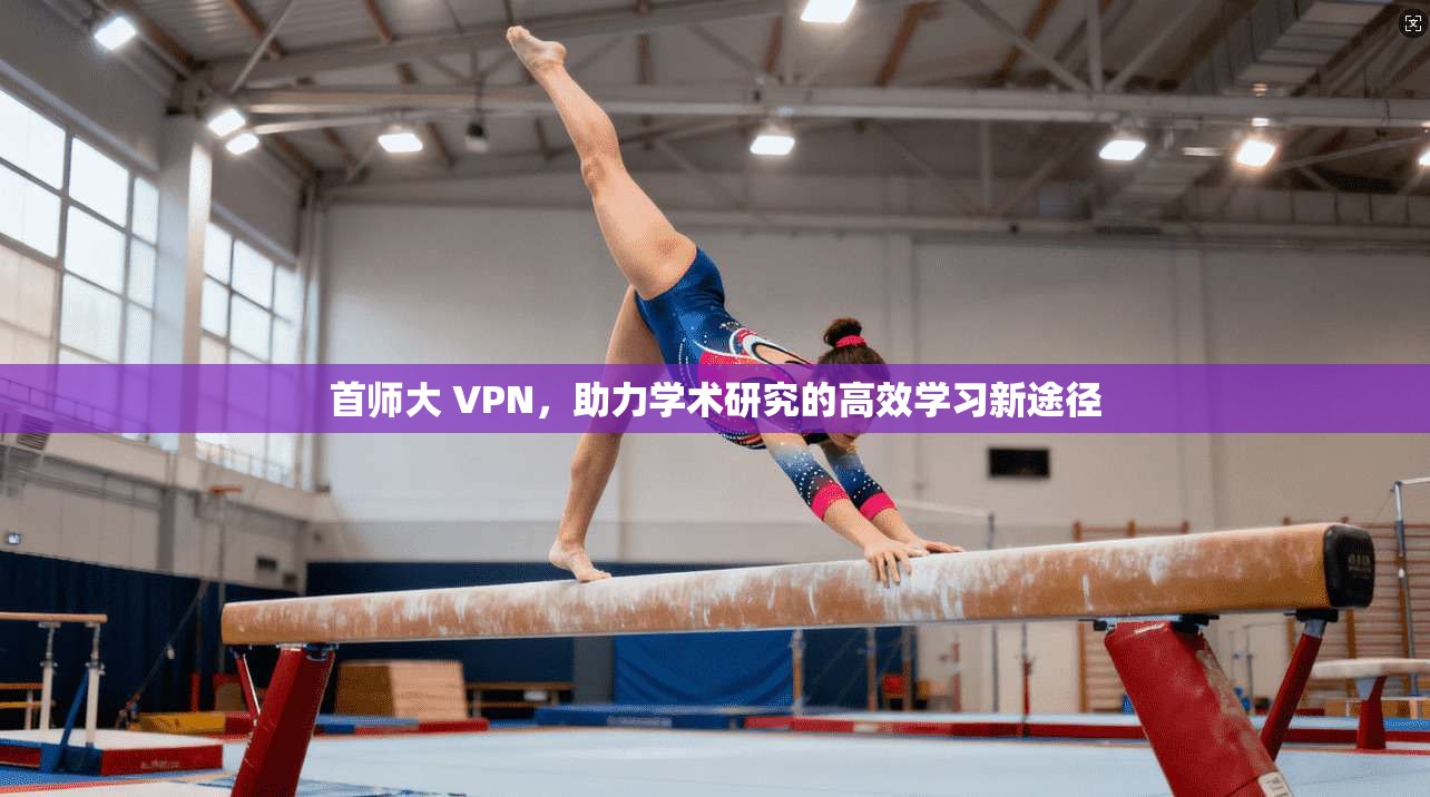 首师大 VPN，助力学术研究的高效学习新途径