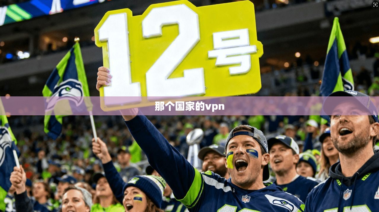那个国家的vpn