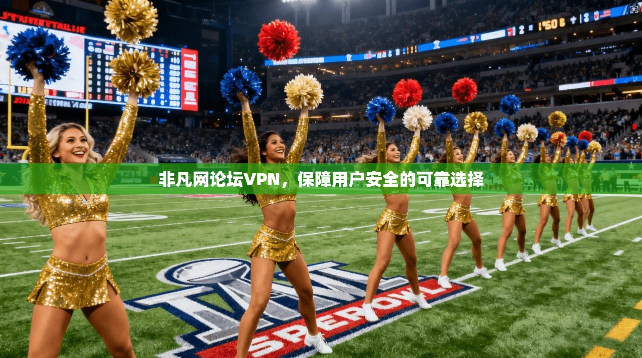 非凡网论坛VPN,保障用户安全的可靠选择