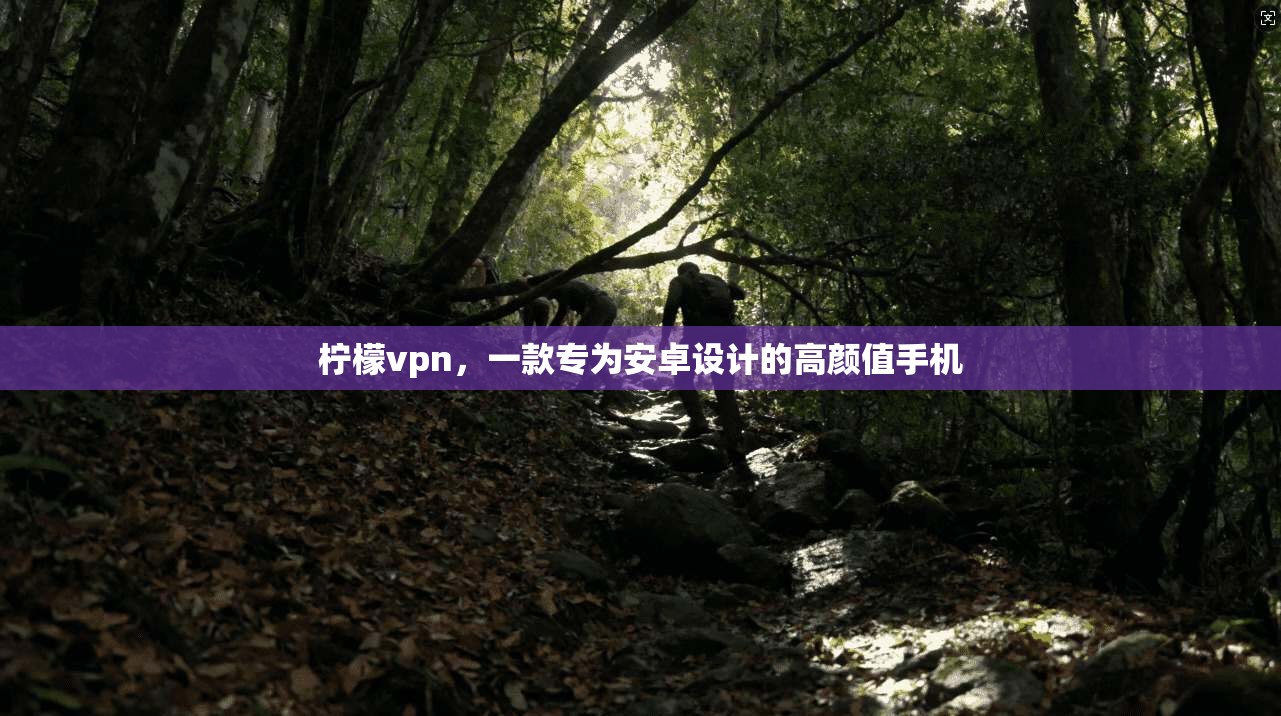柠檬vpn,一款专为安卓设计的高颜值手机