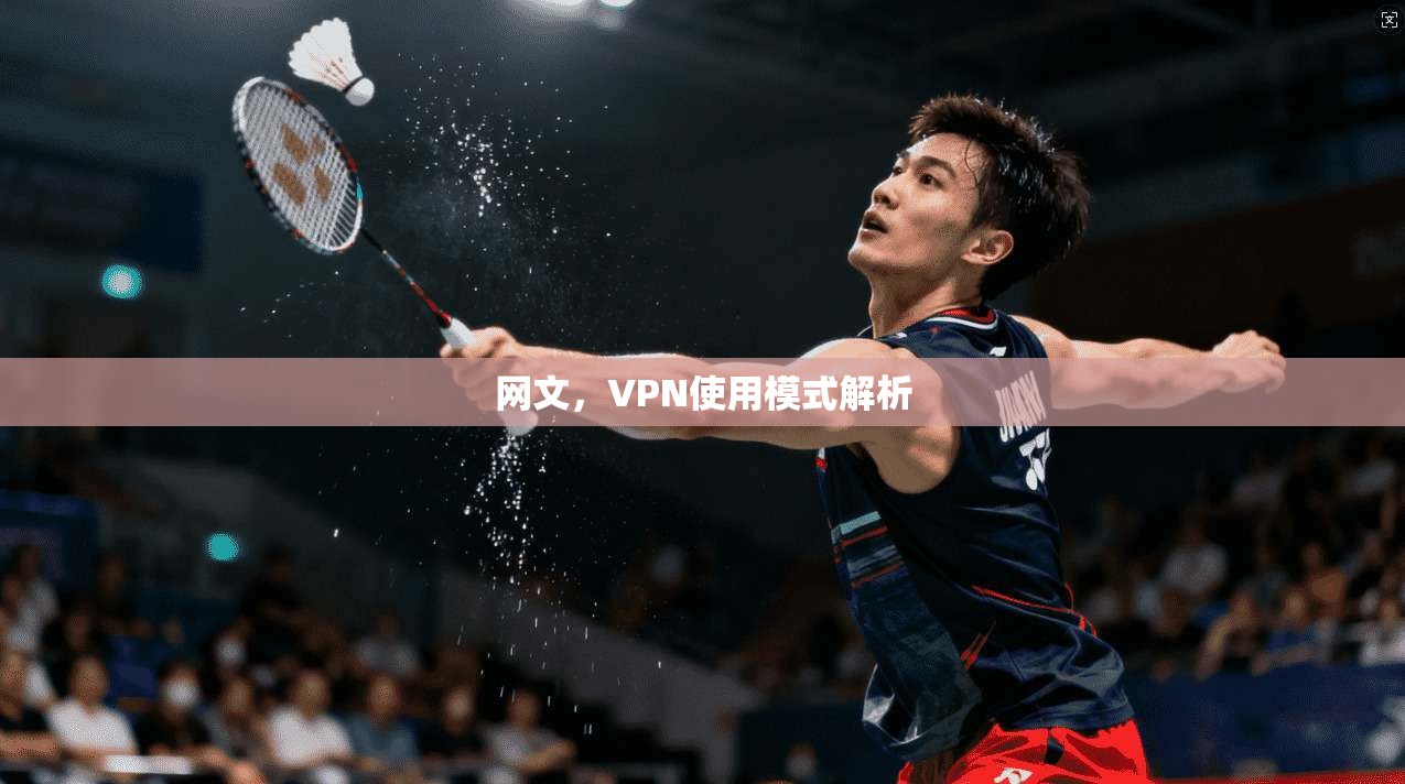 网文，VPN使用模式解析