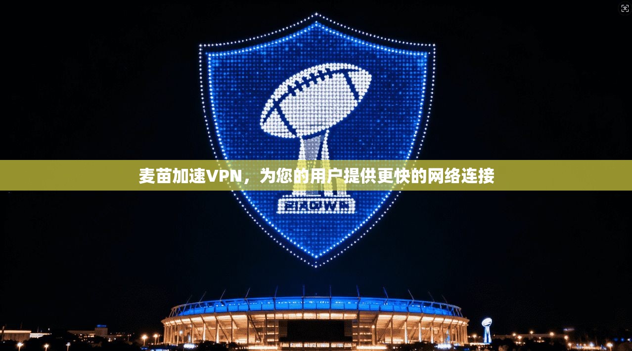 麦苗加速VPN，为您的用户提供更快的网络连接