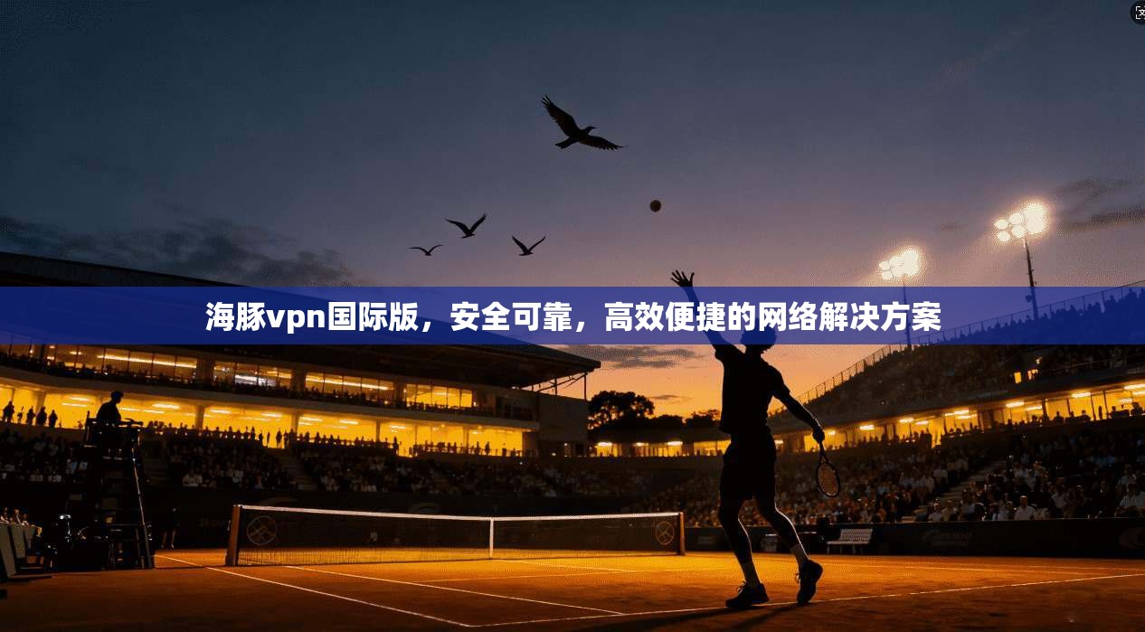 海豚vpn国际版，安全可靠，高效便捷的网络解决方案
