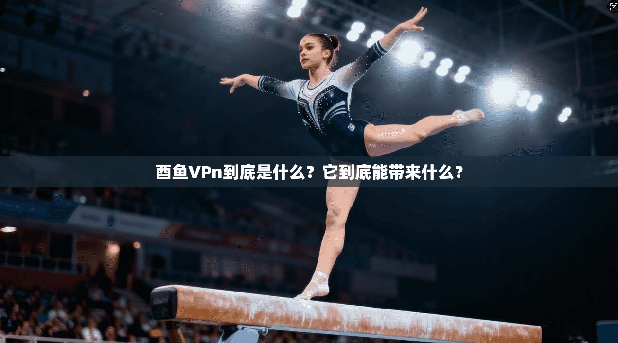 酉鱼VPn到底是什么？它到底能带来什么？