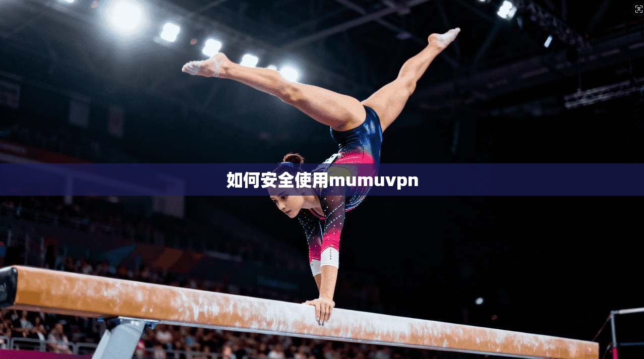 如何安全使用mumuvpn