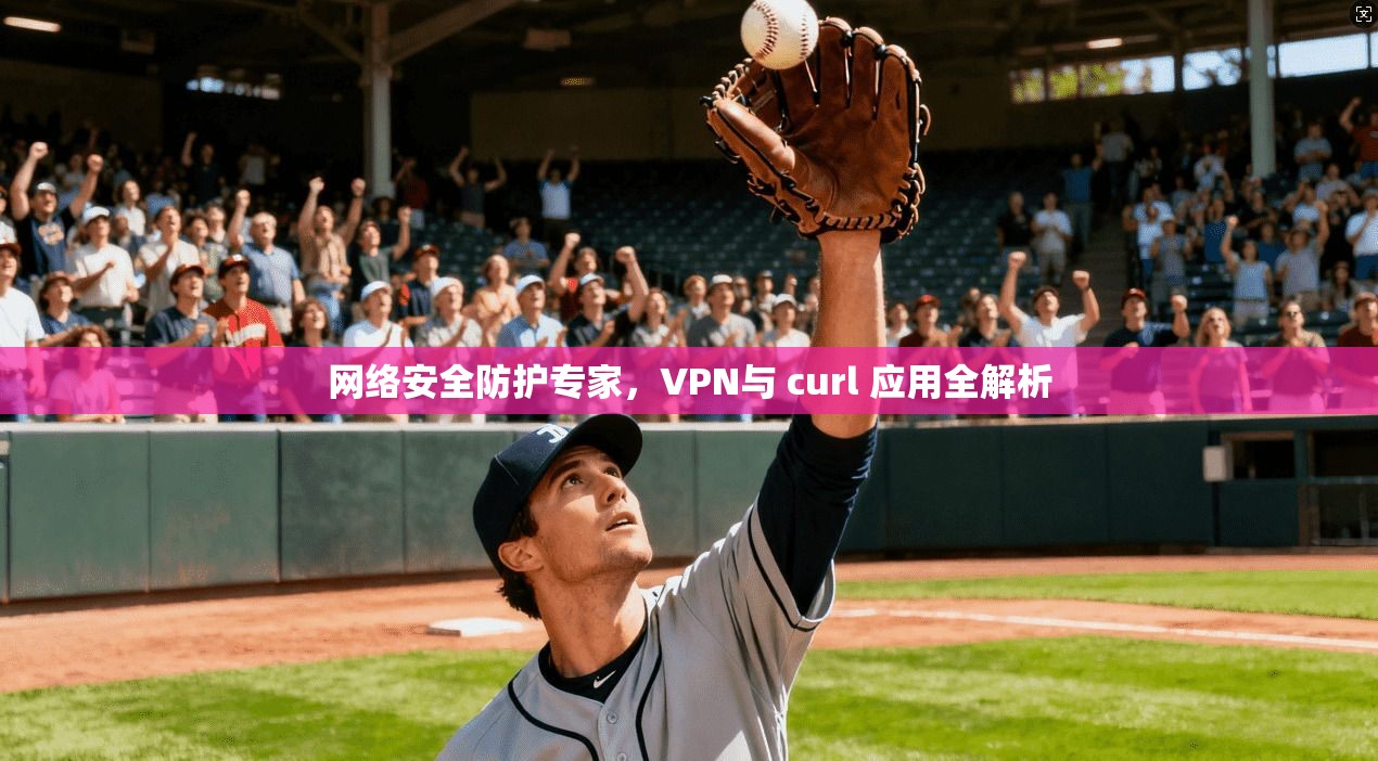 网络安全防护专家，VPN与 curl 应用全解析