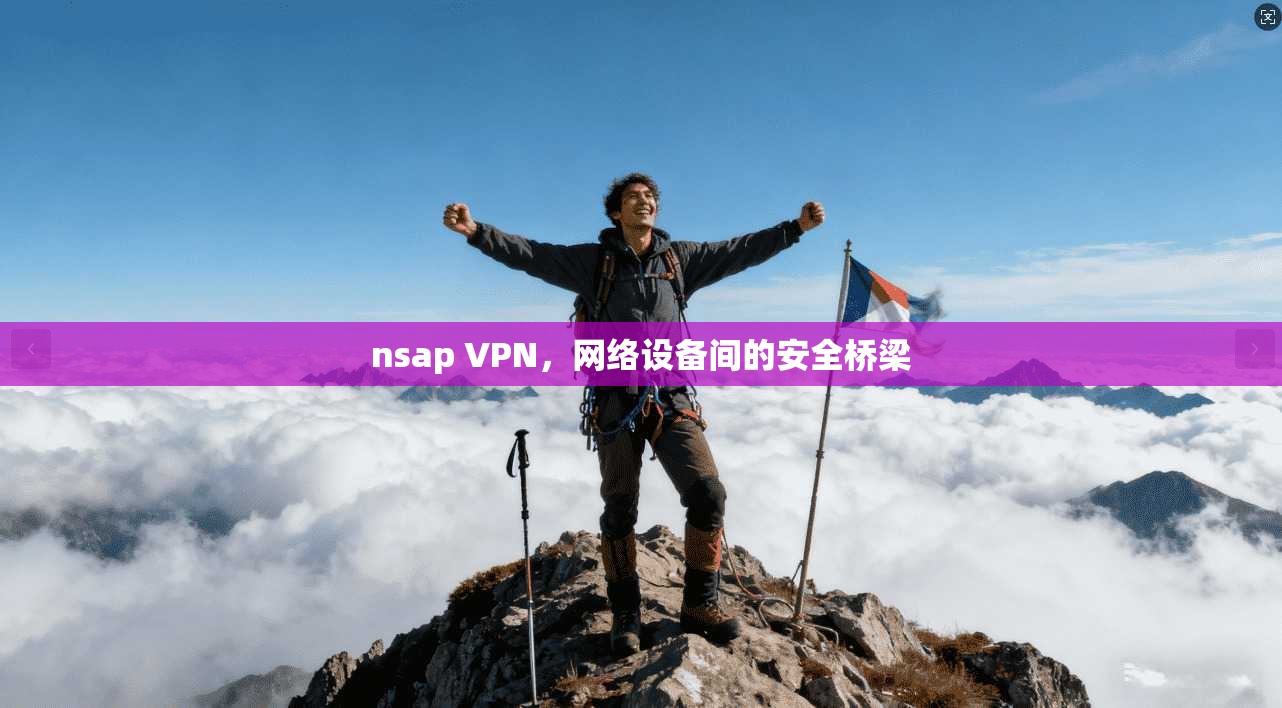 nsap VPN,网络设备间的安全桥梁