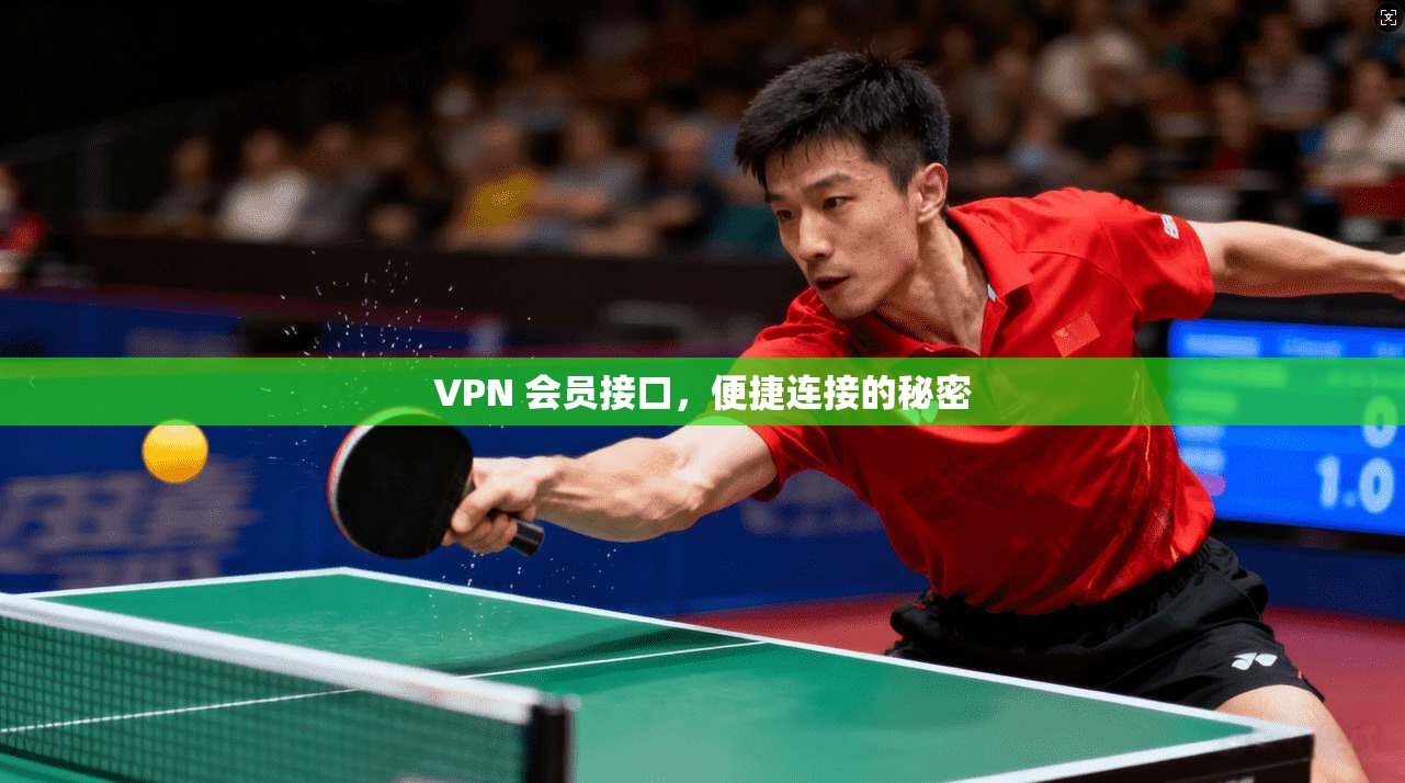 VPN 会员接口,便捷连接的秘密