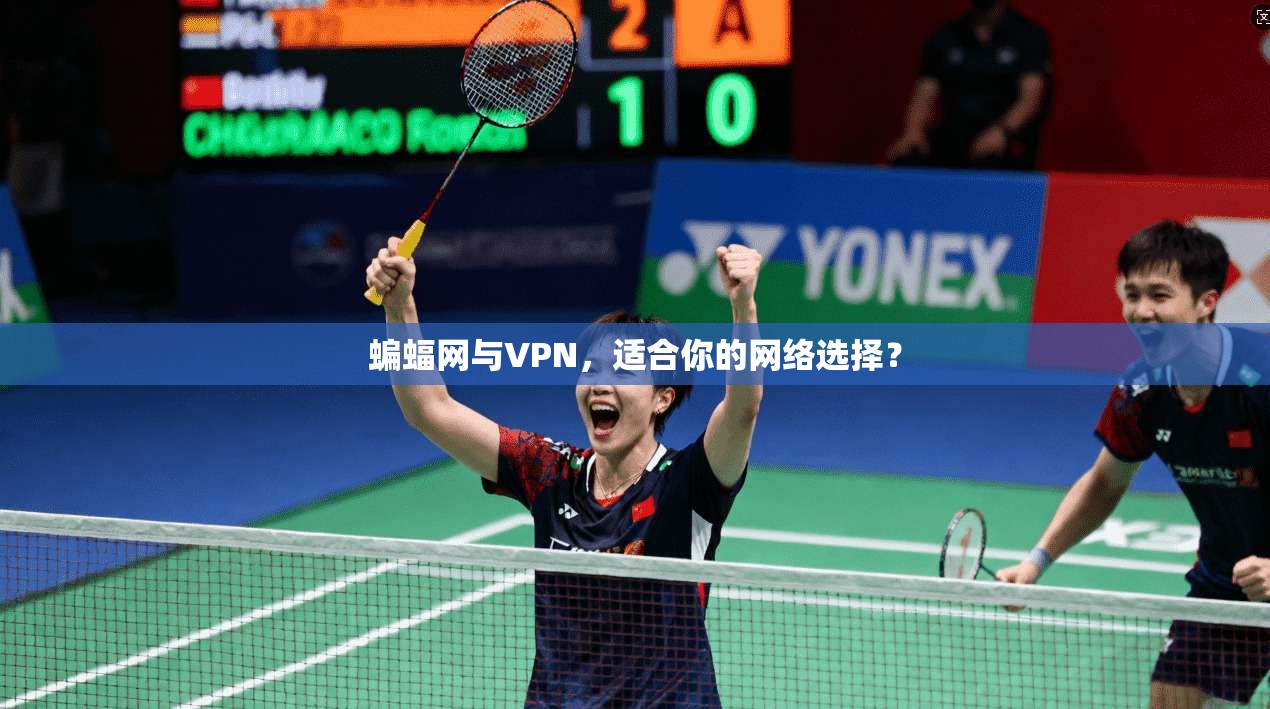 蝙蝠网与VPN，适合你的网络选择？