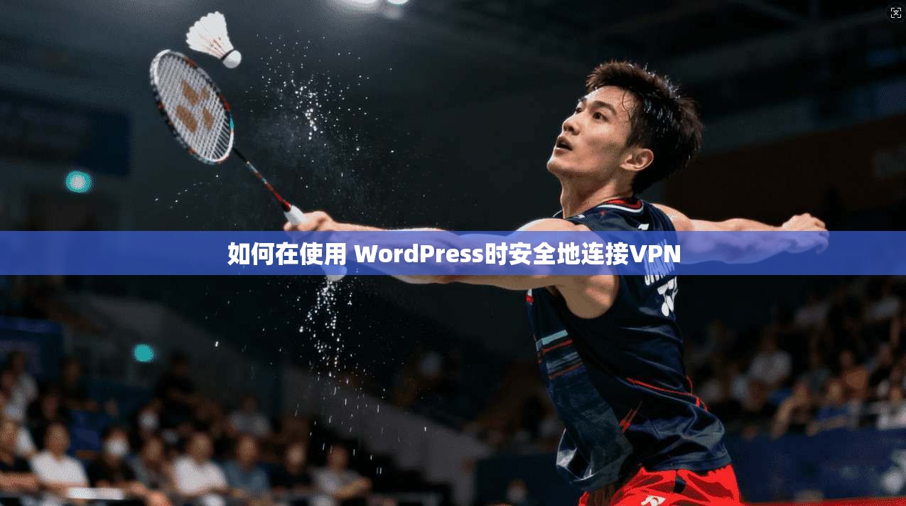 如何在使用 WordPress时安全地连接VPN