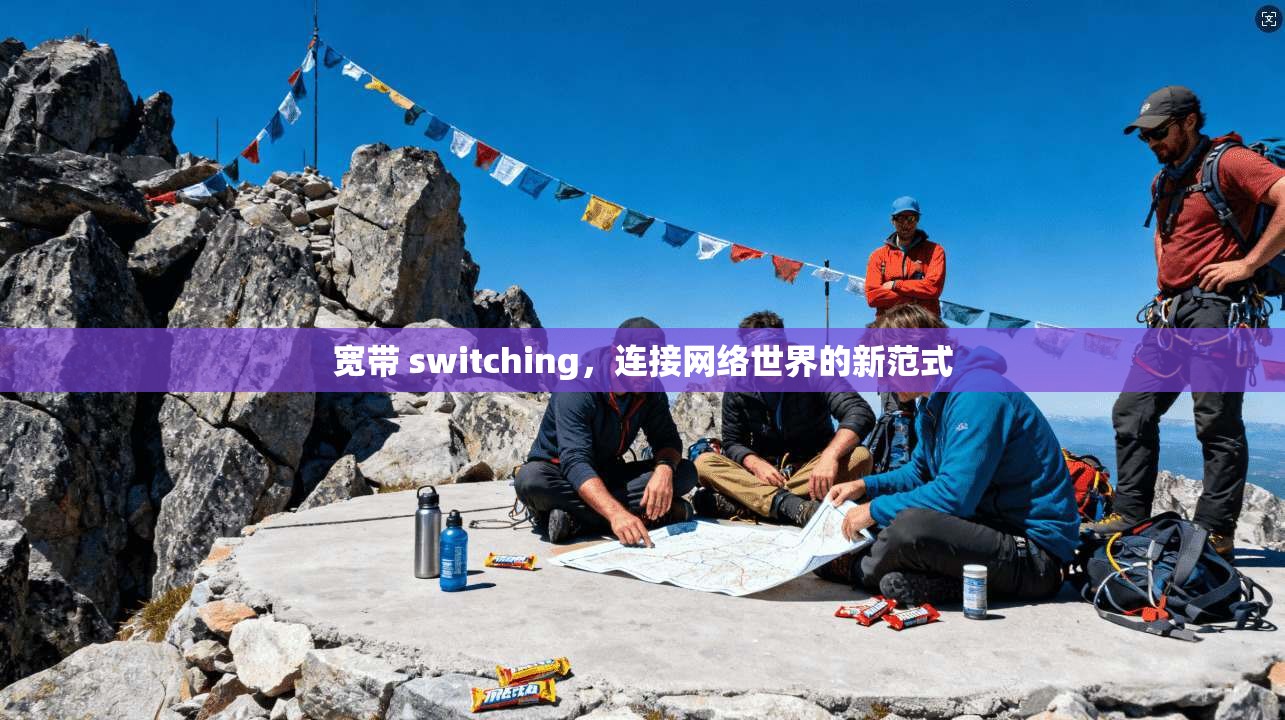宽带 switching，连接网络世界的新范式