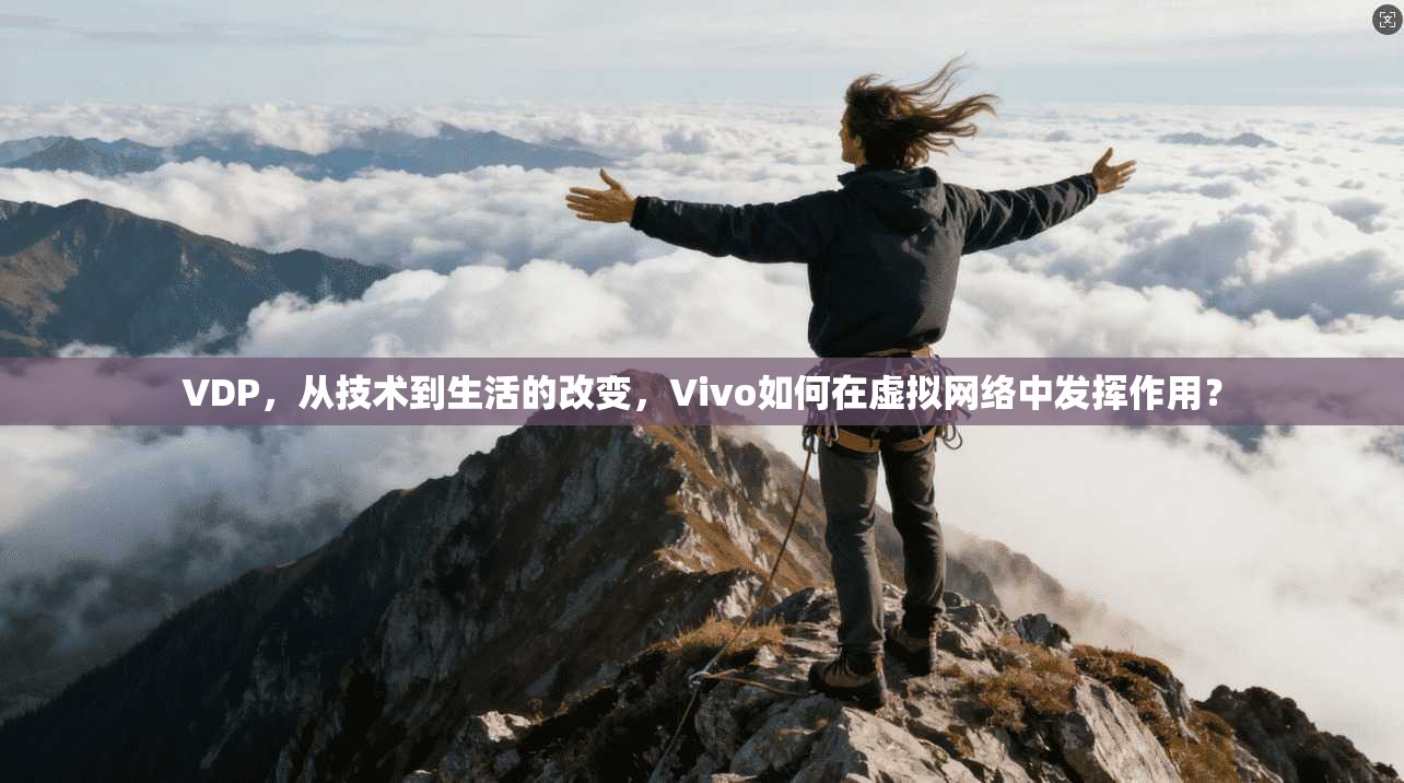 VDP，从技术到生活的改变，Vivo如何在虚拟网络中发挥作用？