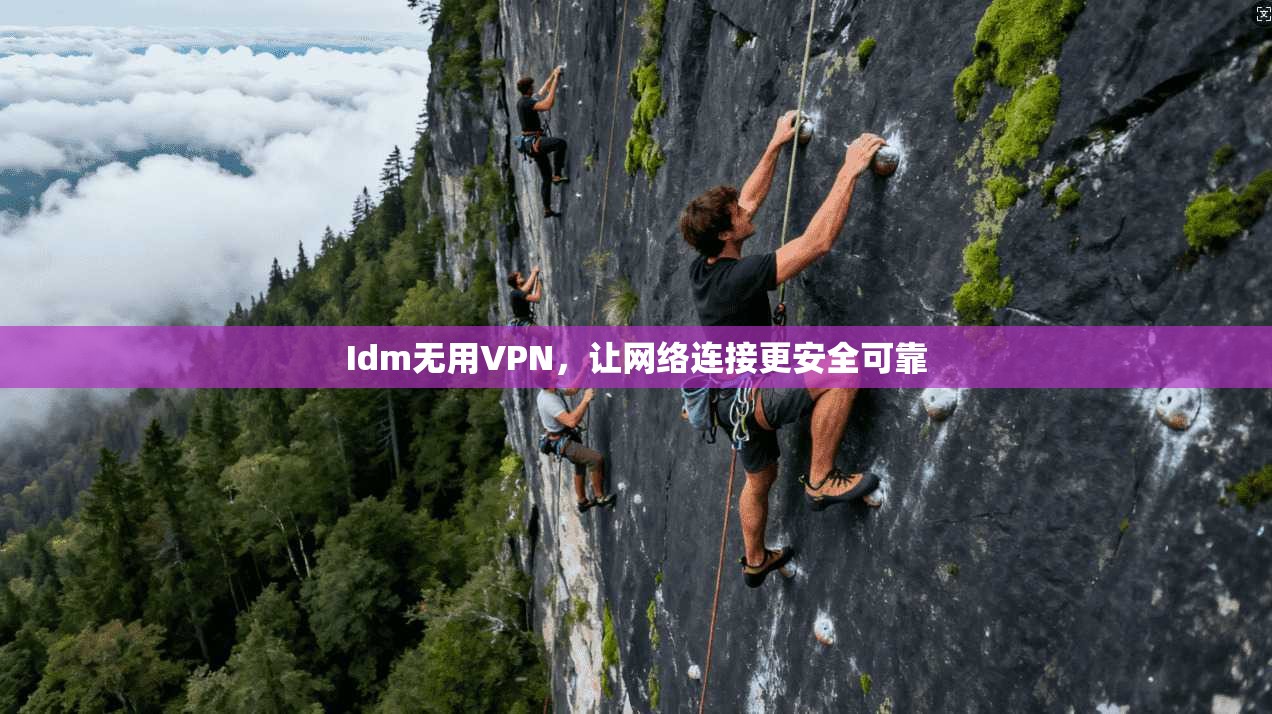 Idm无用VPN，让网络连接更安全可靠