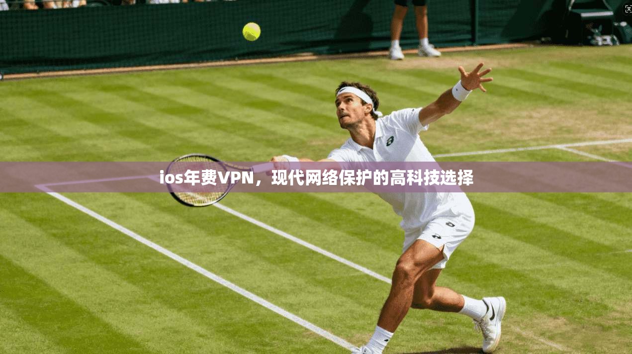 ios年费VPN，现代网络保护的高科技选择