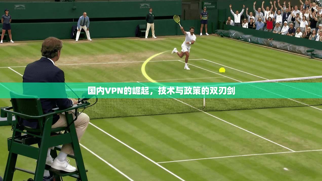 国内VPN的崛起，技术与政策的双刃剑