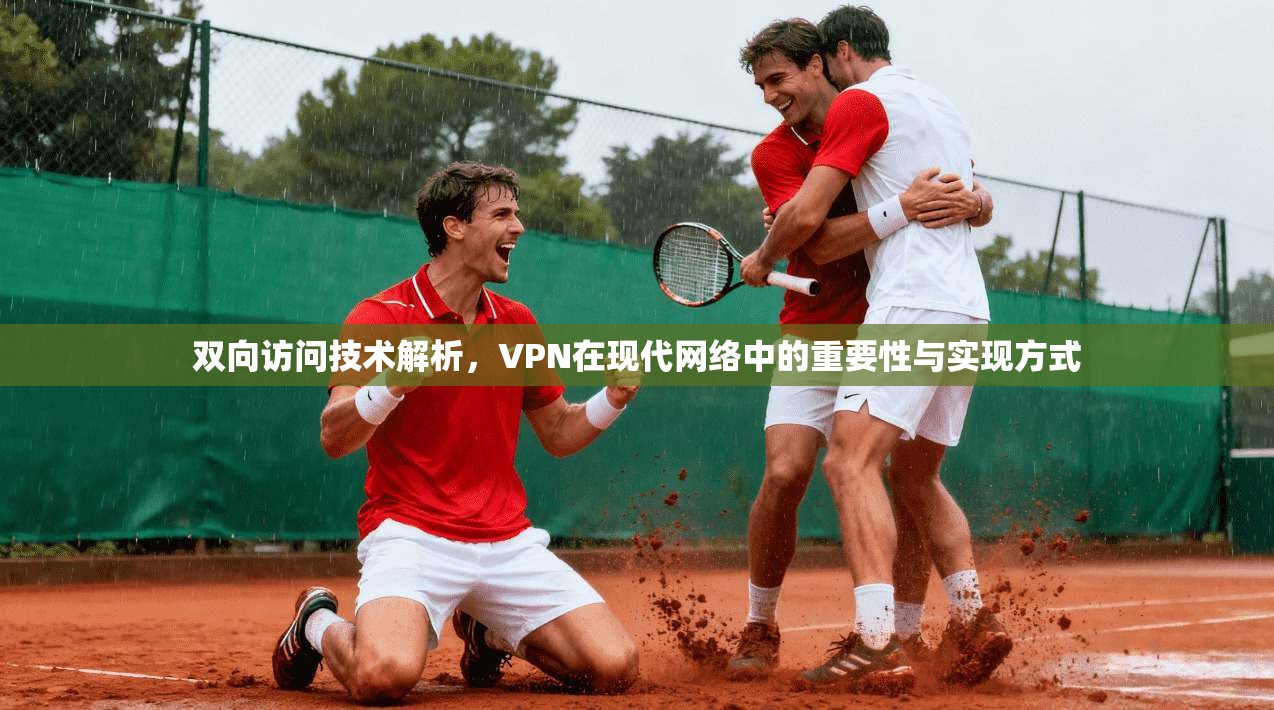 双向访问技术解析,VPN在现代网络中的重要性与实现方式