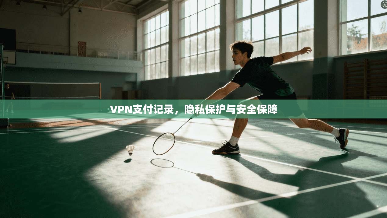 VPN支付记录，隐私保护与安全保障