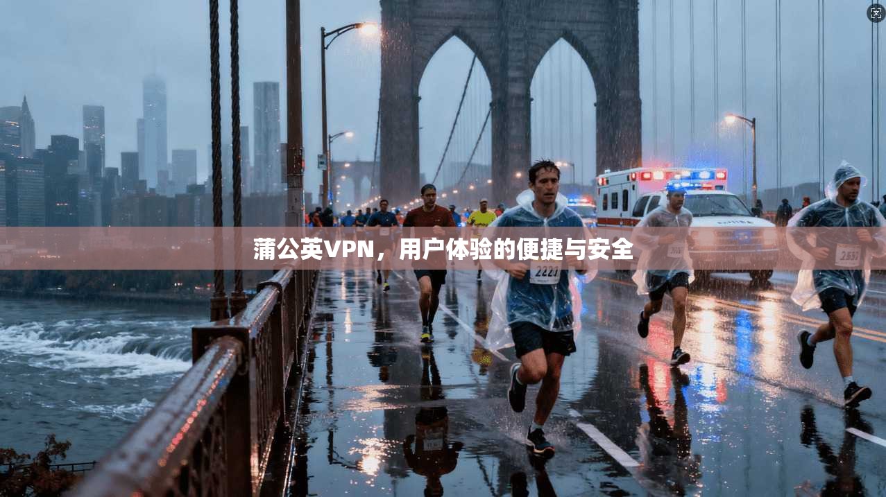 蒲公英VPN，用户体验的便捷与安全