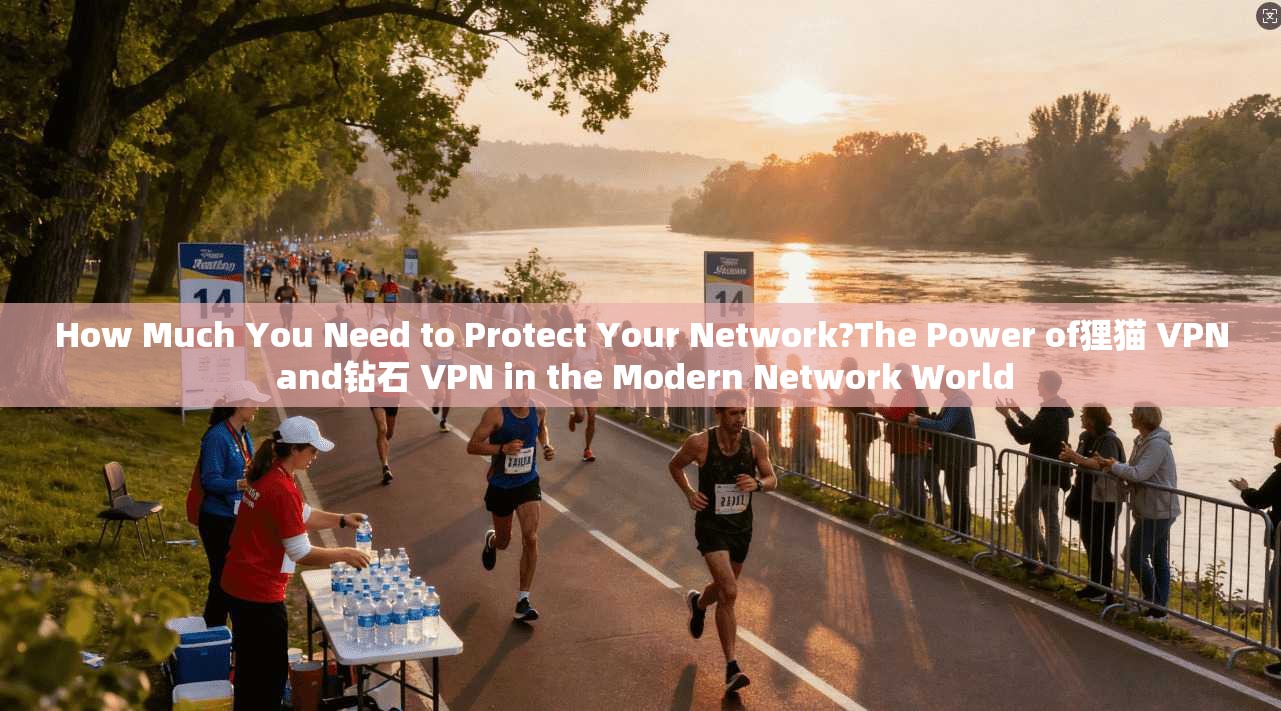 How Much You Need to Protect Your Network?The Power of狸猫 VPN and钻石 VPN in the Modern Network World