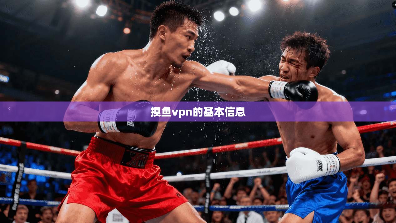 摸鱼vpn的基本信息