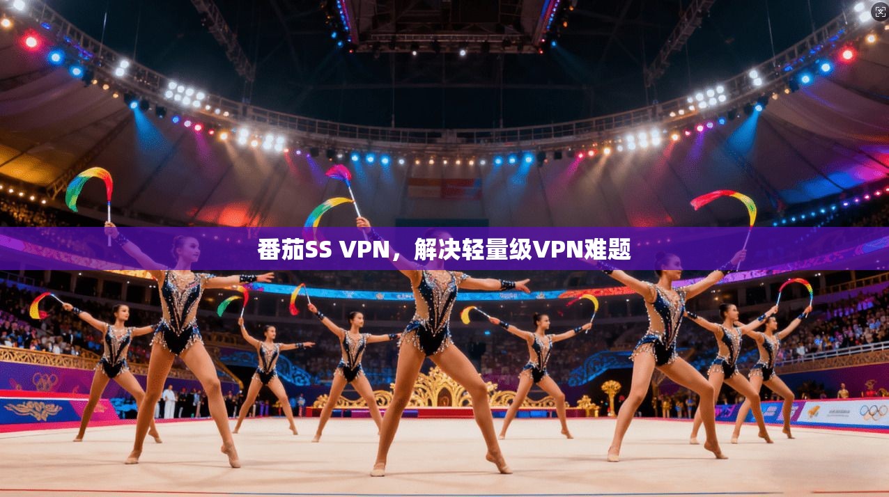 番茄SS VPN，解决轻量级VPN难题