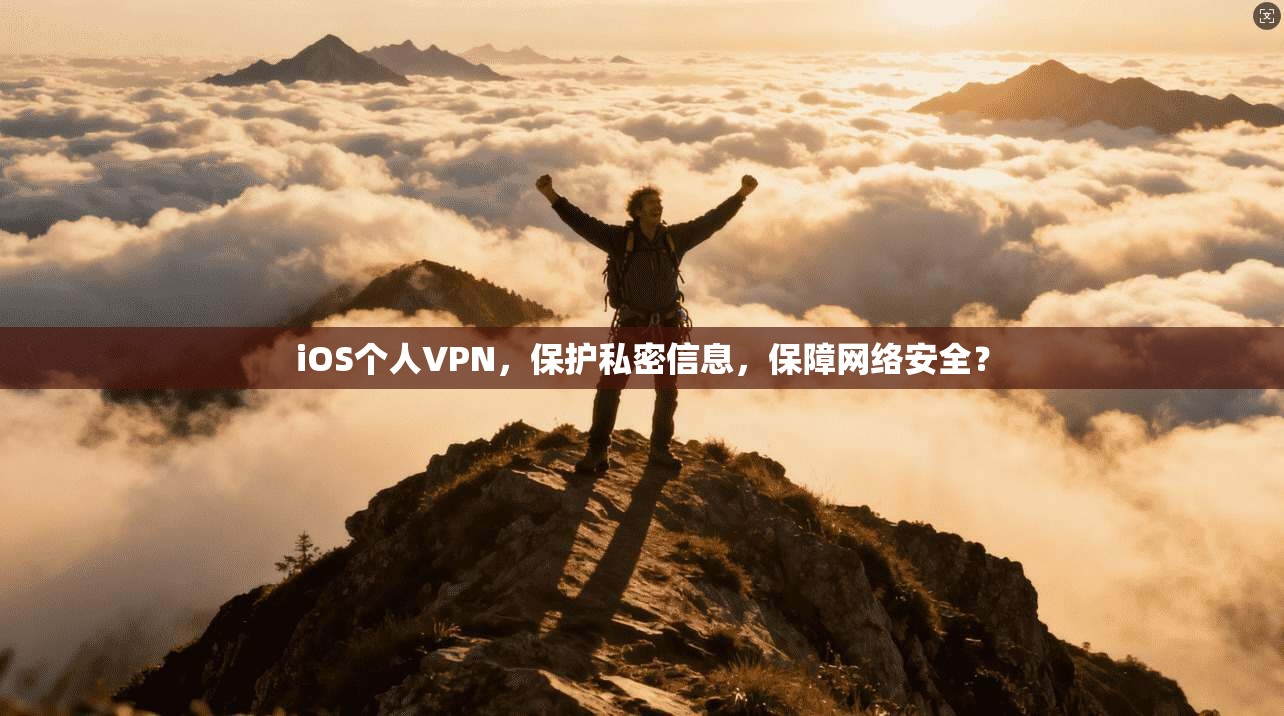 iOS个人VPN，保护私密信息，保障网络安全？