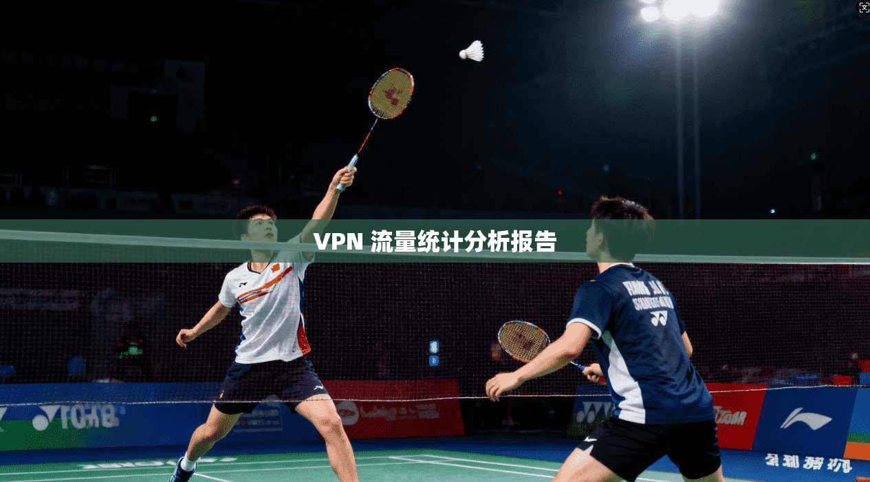 VPN 流量统计分析报告