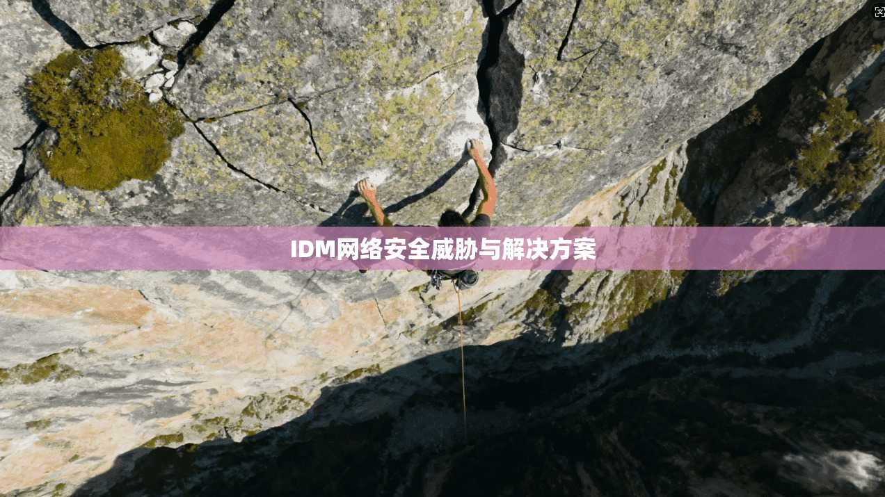 IDM网络安全威胁与解决方案