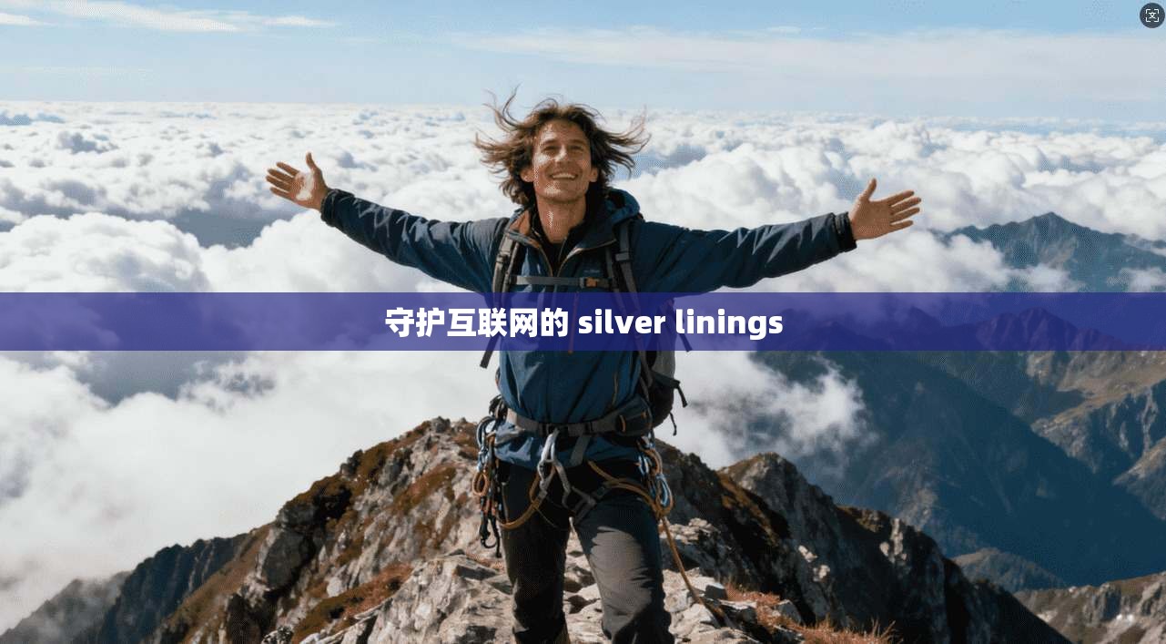 守护互联网的 silver linings