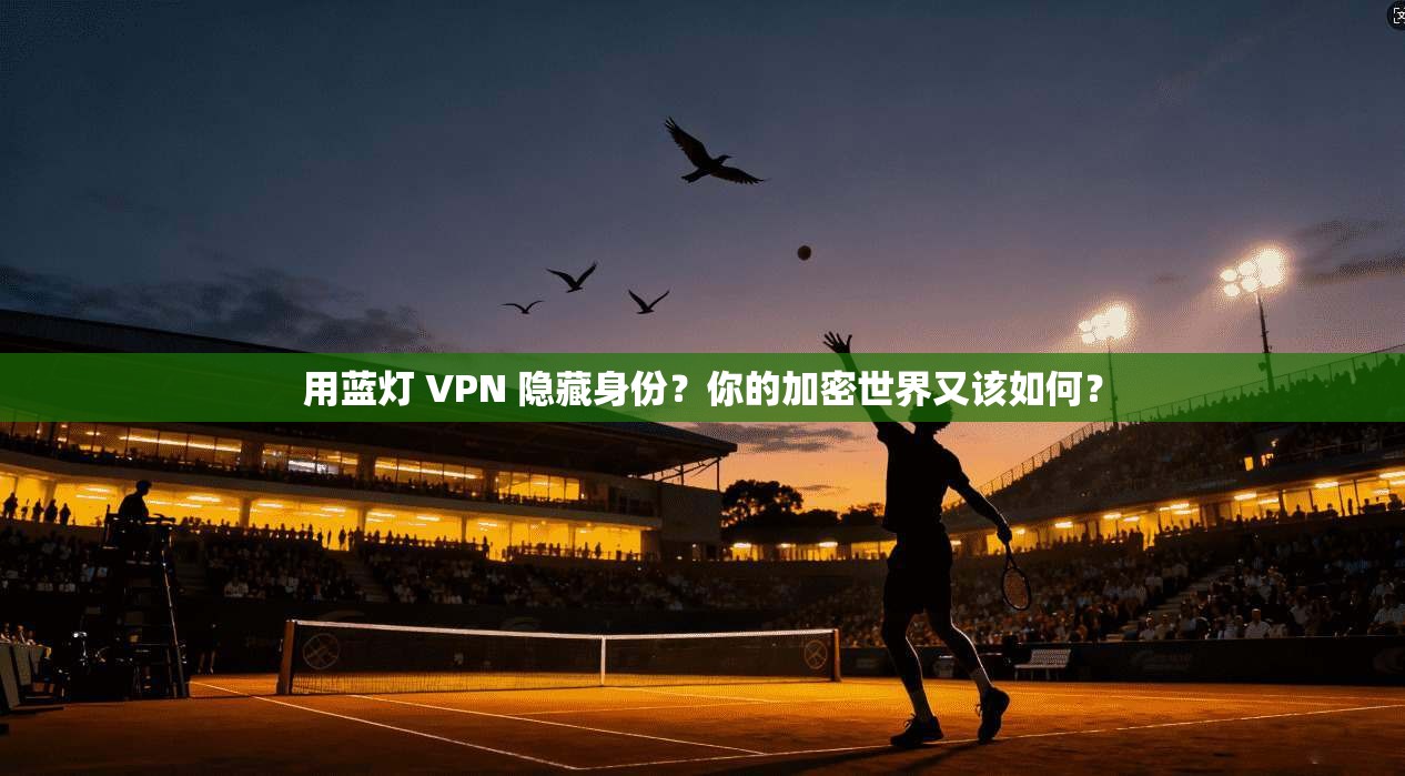 用蓝灯 VPN 隐藏身份？你的加密世界又该如何？