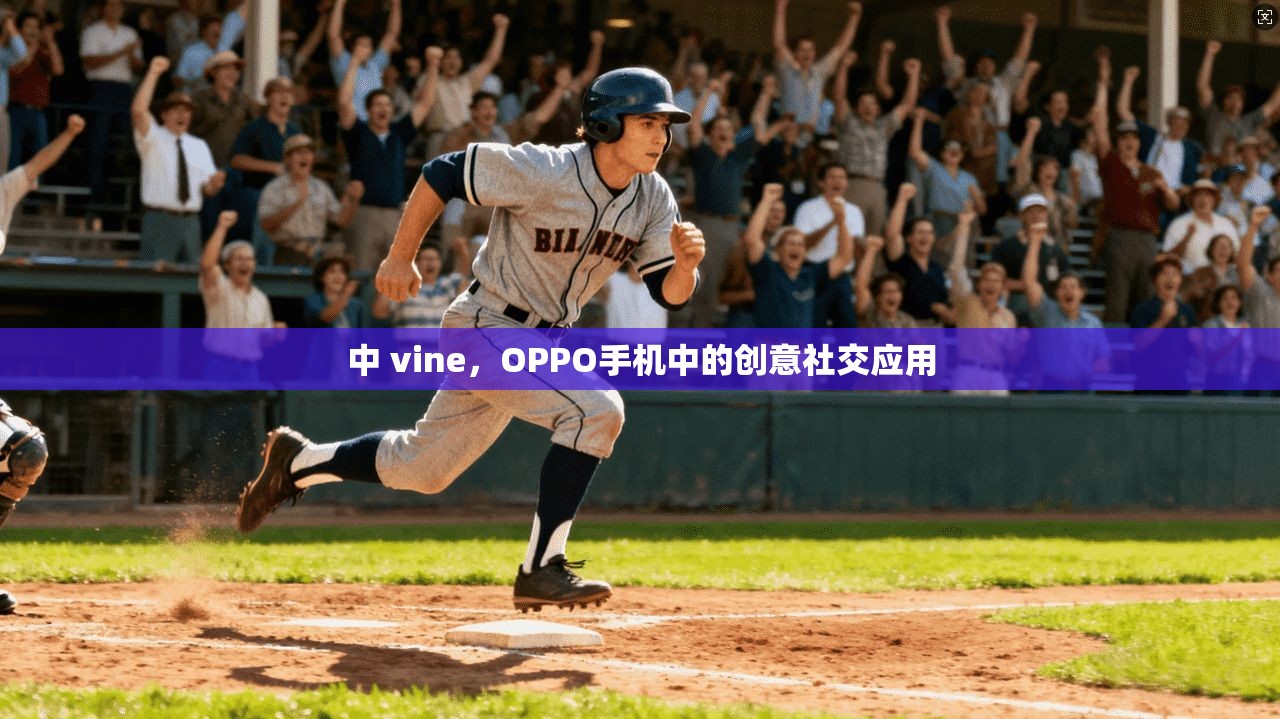 中 vine，OPPO手机中的创意社交应用