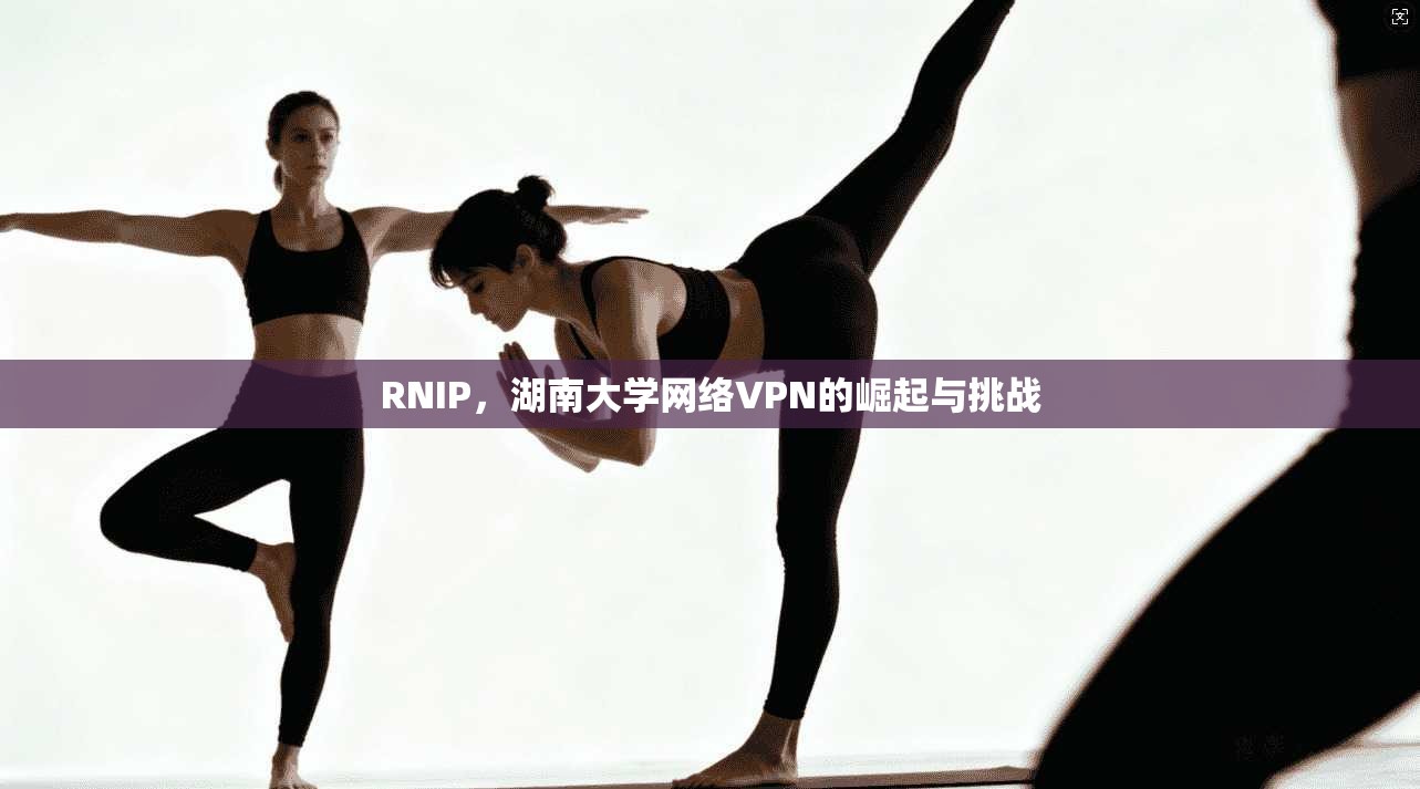 RNIP，湖南大学网络VPN的崛起与挑战