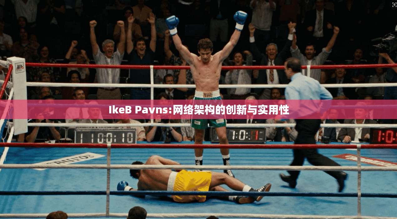 IkeB Pavns:网络架构的创新与实用性