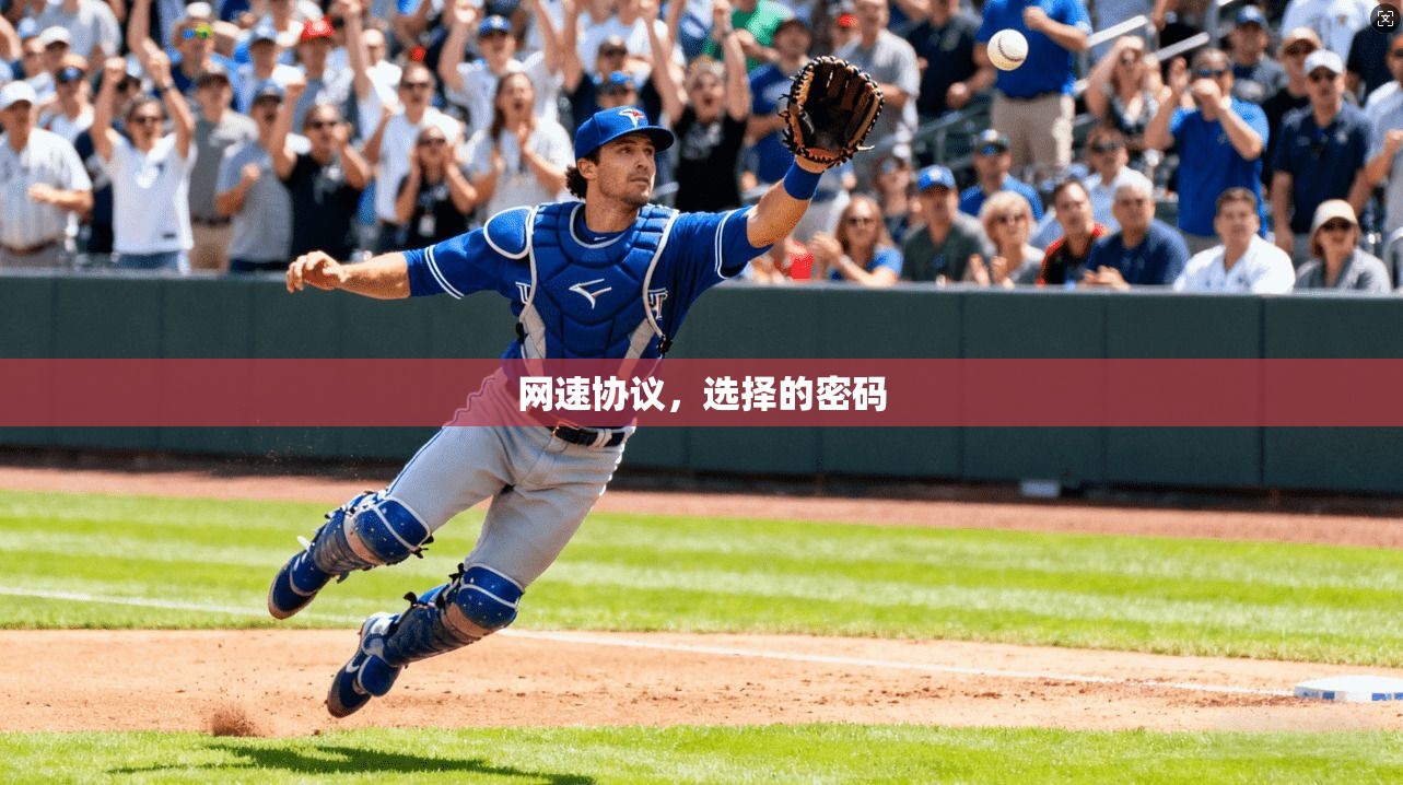 网速协议，选择的密码