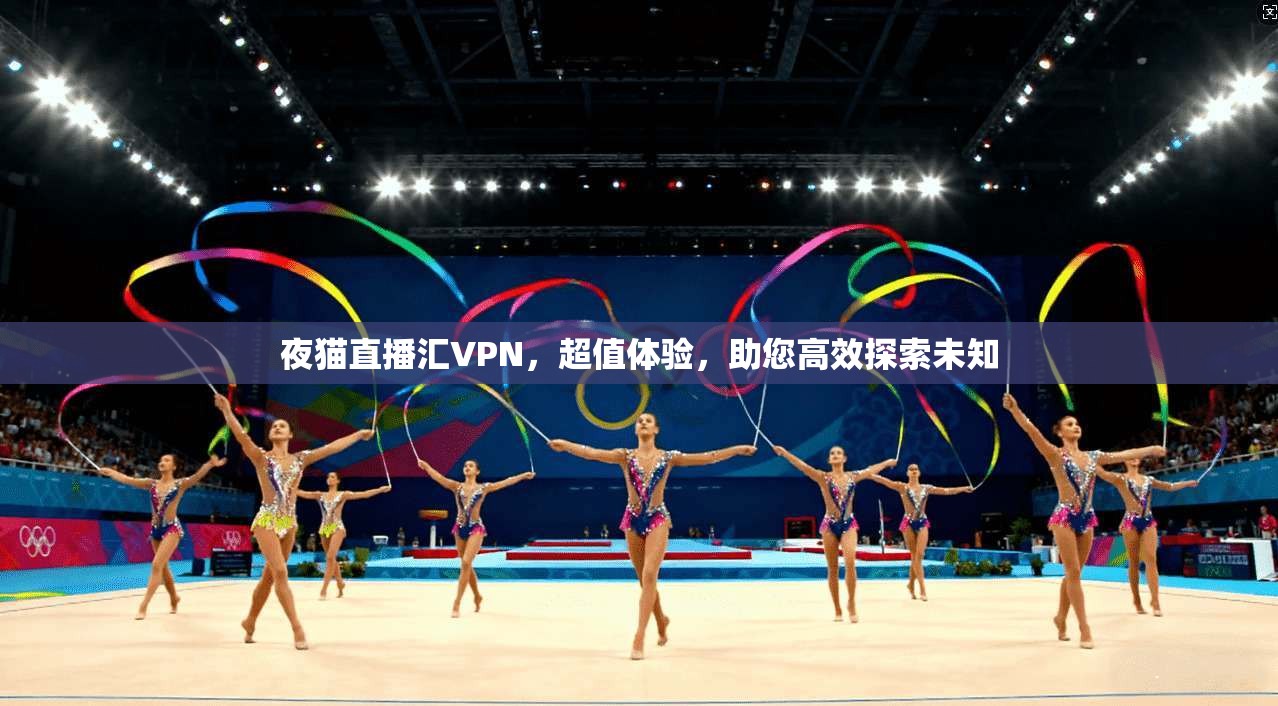 夜猫直播汇VPN，超值体验，助您高效探索未知