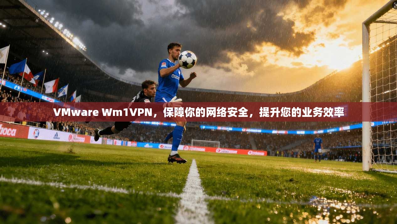 VMware Wm1VPN，保障你的网络安全，提升您的业务效率