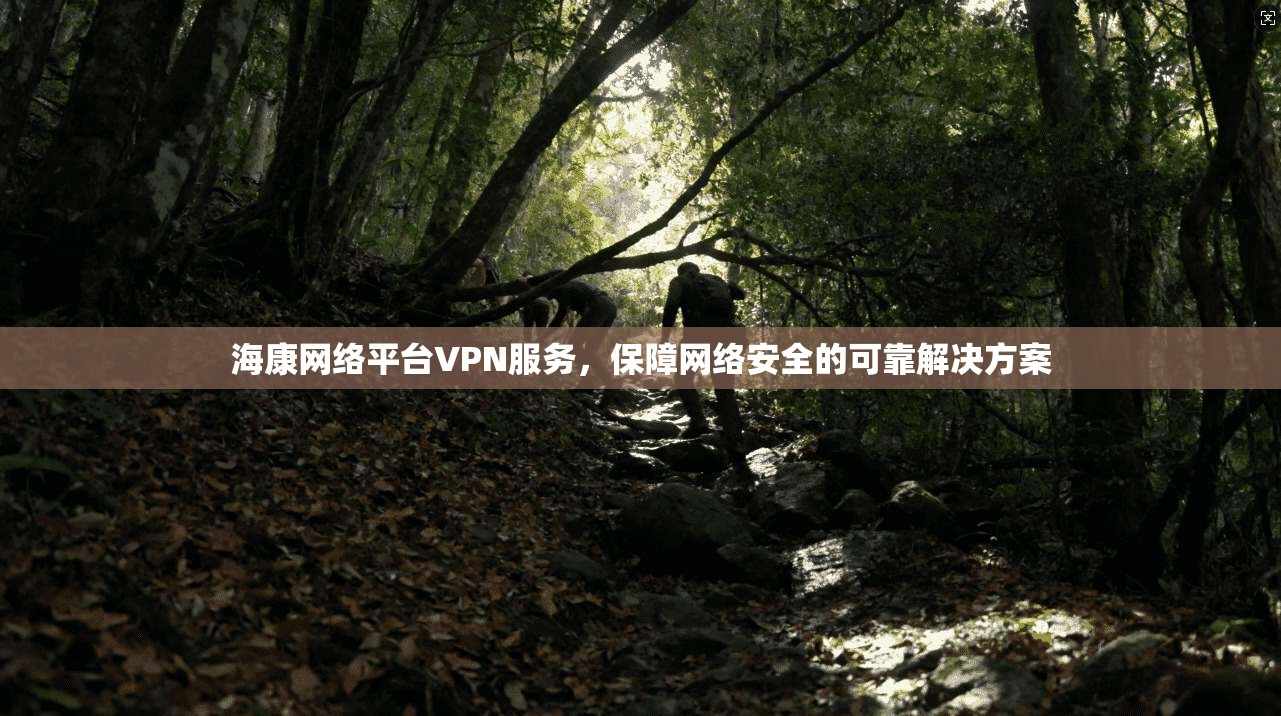 海康网络平台VPN服务，保障网络安全的可靠解决方案