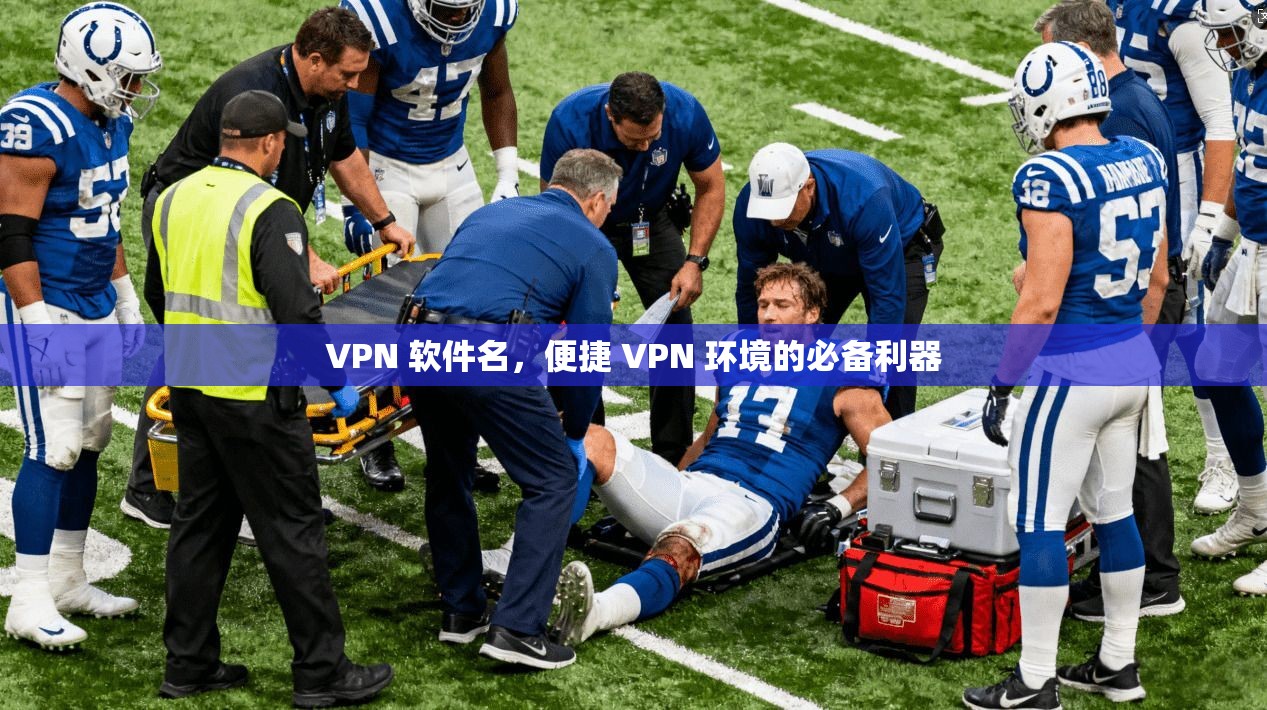 VPN 软件名,便捷 VPN 环境的必备利器