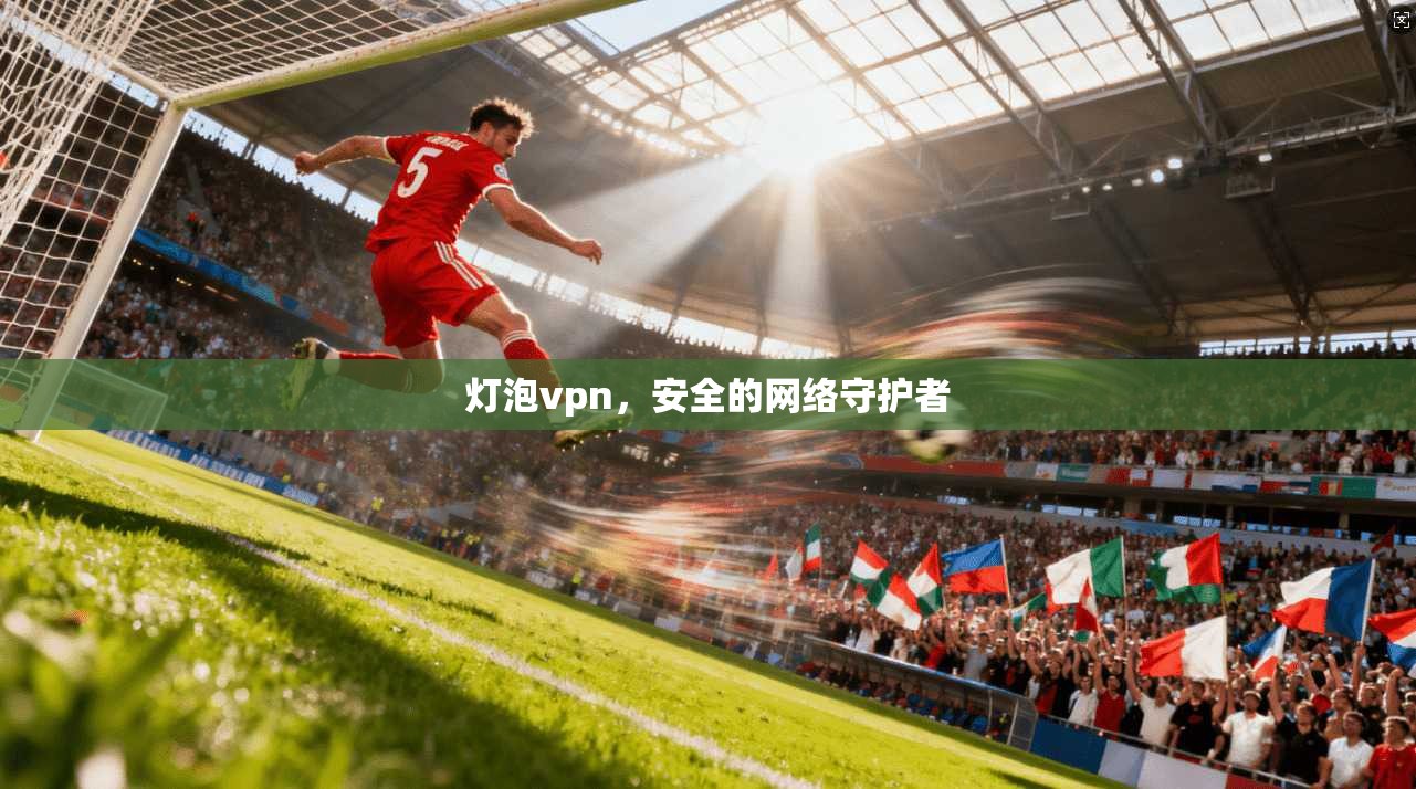 灯泡vpn，安全的网络守护者