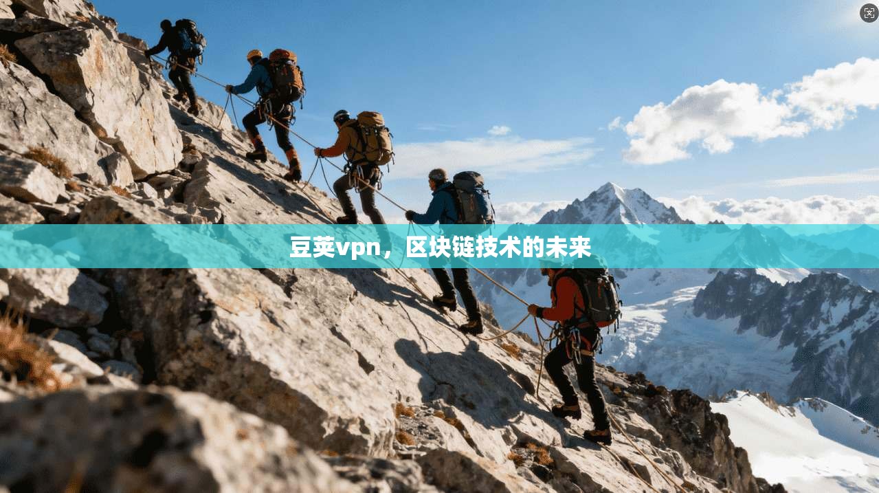 豆荚vpn，区块链技术的未来