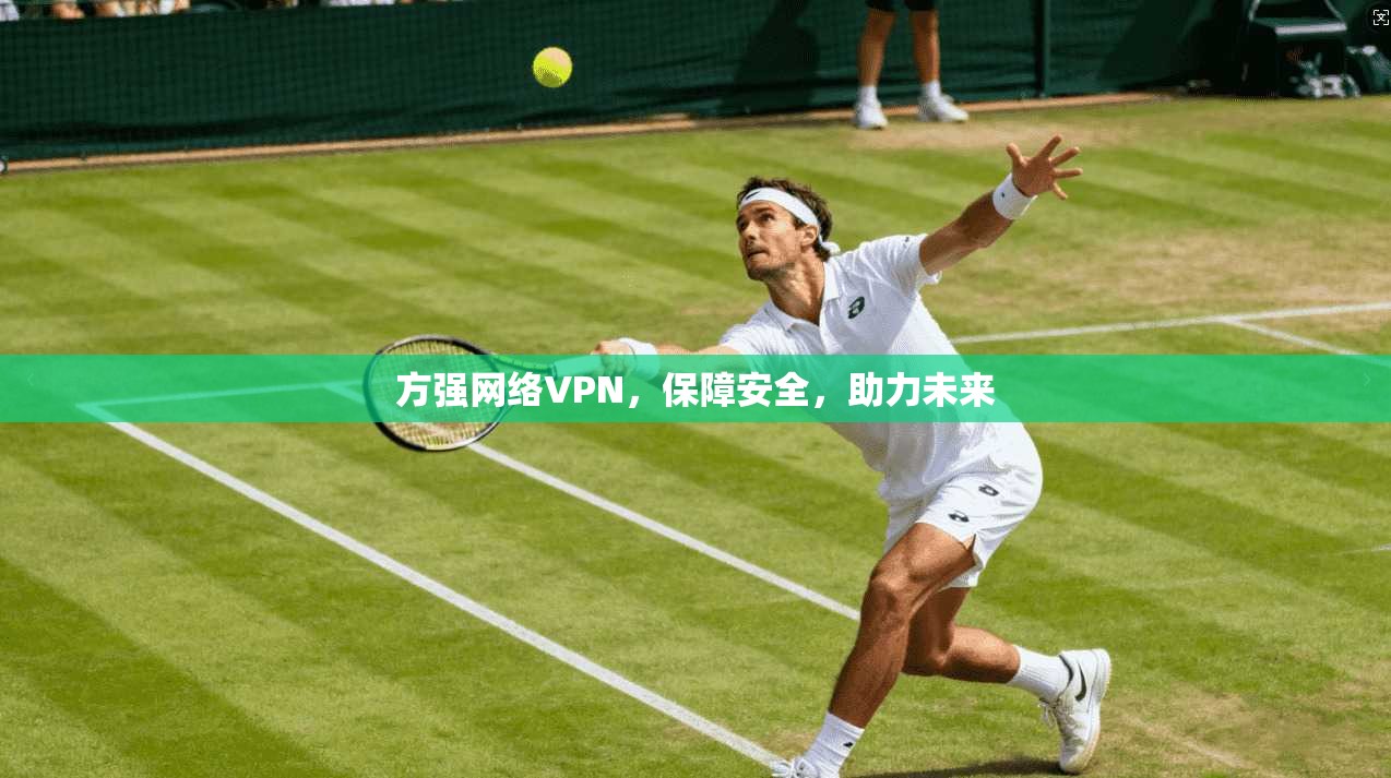 方强网络VPN，保障安全，助力未来