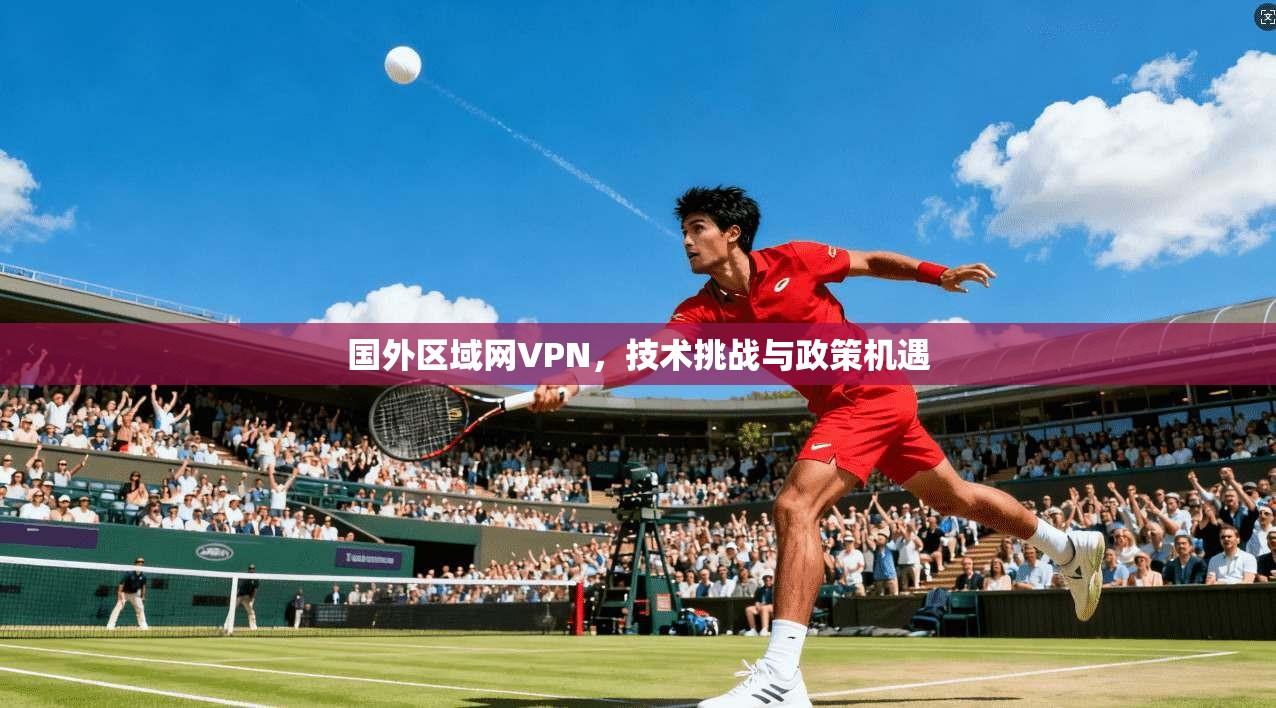 国外区域网VPN，技术挑战与政策机遇
