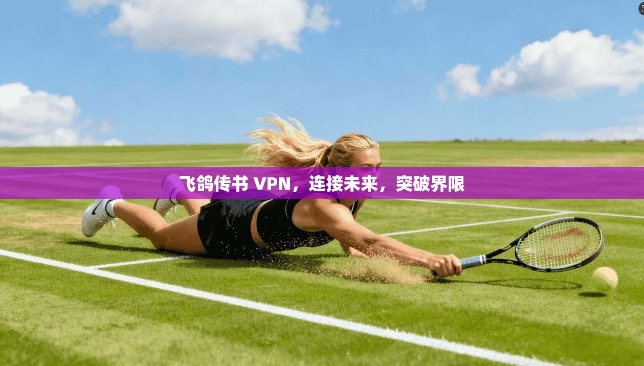 飞鸽传书 VPN,连接未来,突破界限