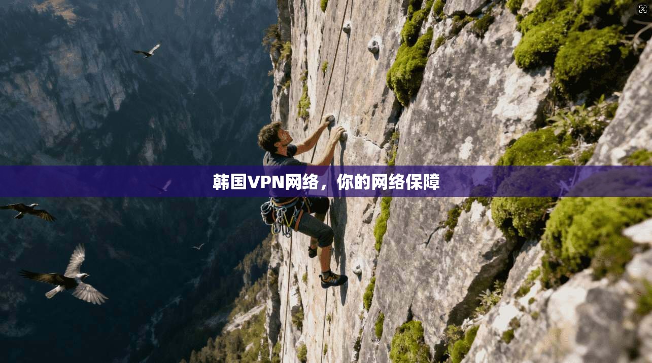 韩国VPN网络，你的网络保障