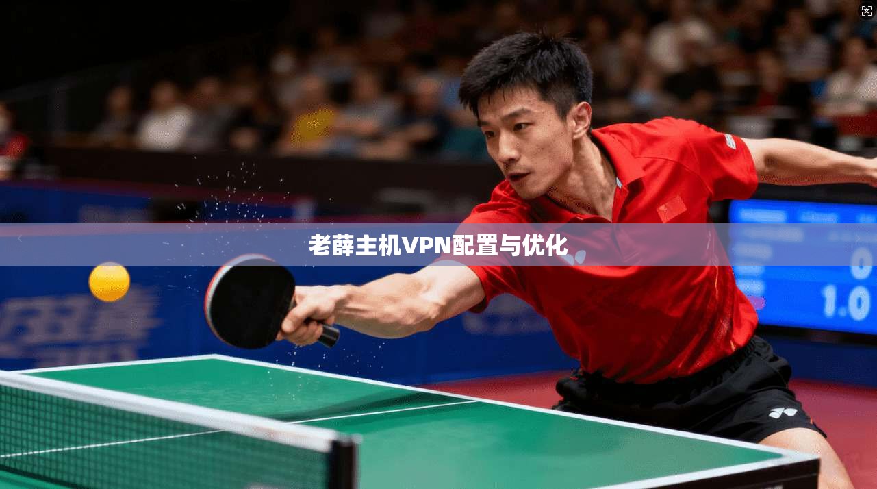 老薛主机VPN配置与优化