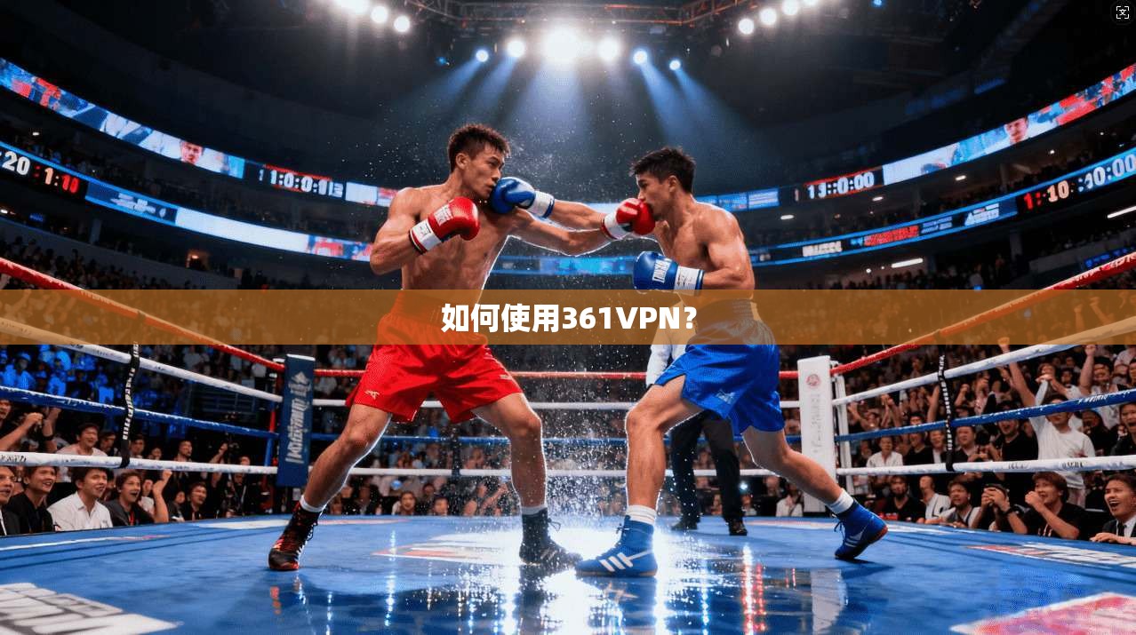 如何使用361VPN？